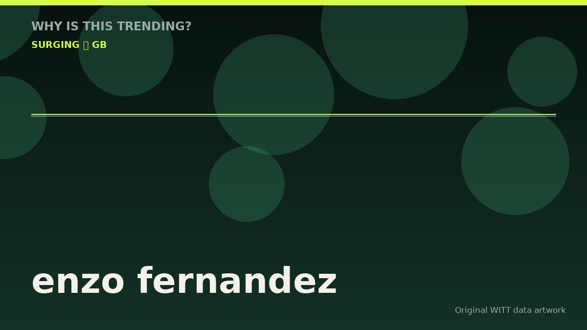enzo fernandez original attention timeline illustration