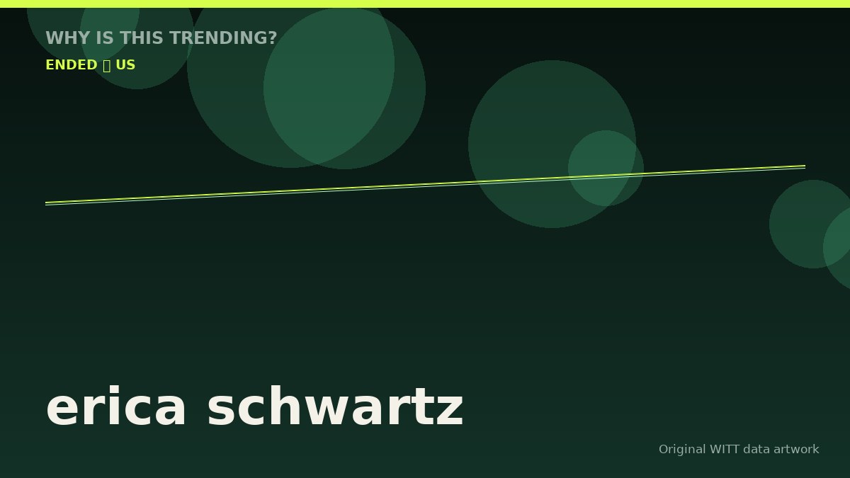 erica schwartz original attention timeline illustration