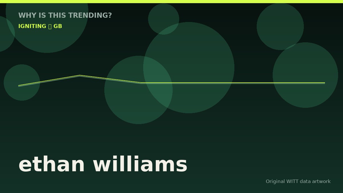 ethan williams original attention timeline illustration