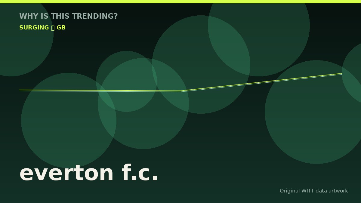 everton f.c. original attention timeline illustration