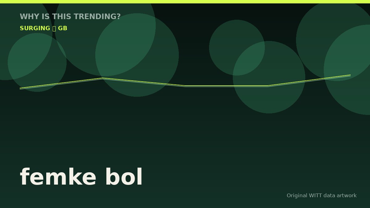 femke bol original attention timeline illustration