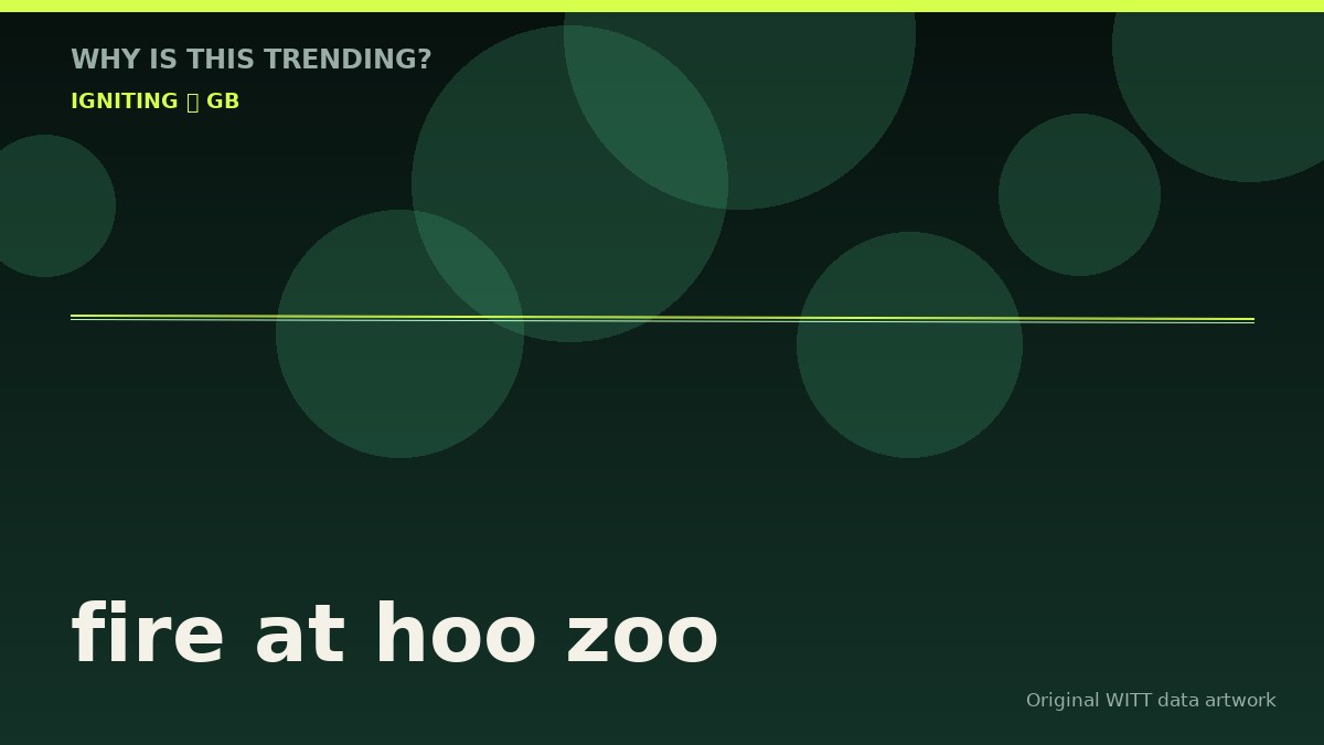 fire at hoo zoo original attention timeline illustration
