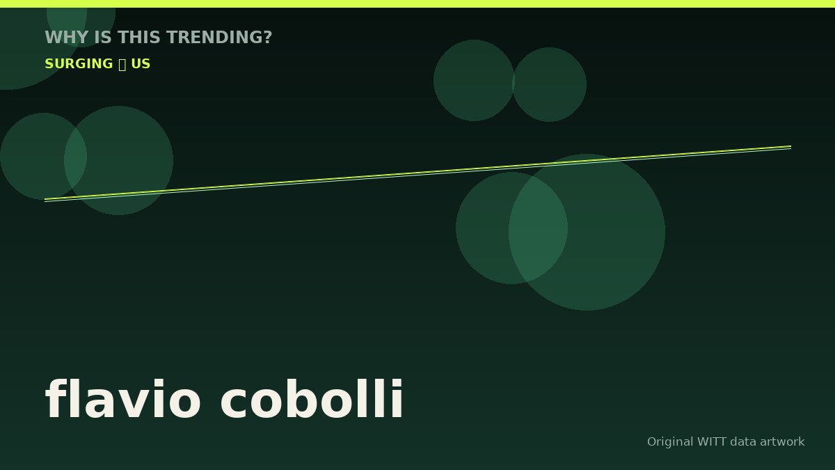 flavio cobolli original attention timeline illustration