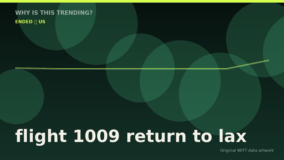 flight 1009 return to lax original attention timeline illustration