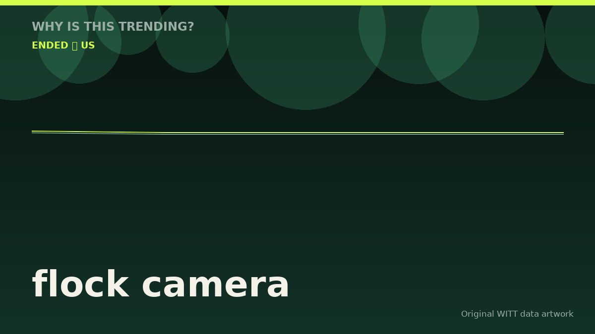 flock camera original attention timeline illustration