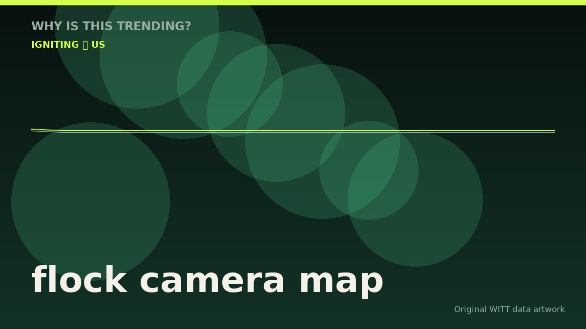 flock camera map original attention timeline illustration