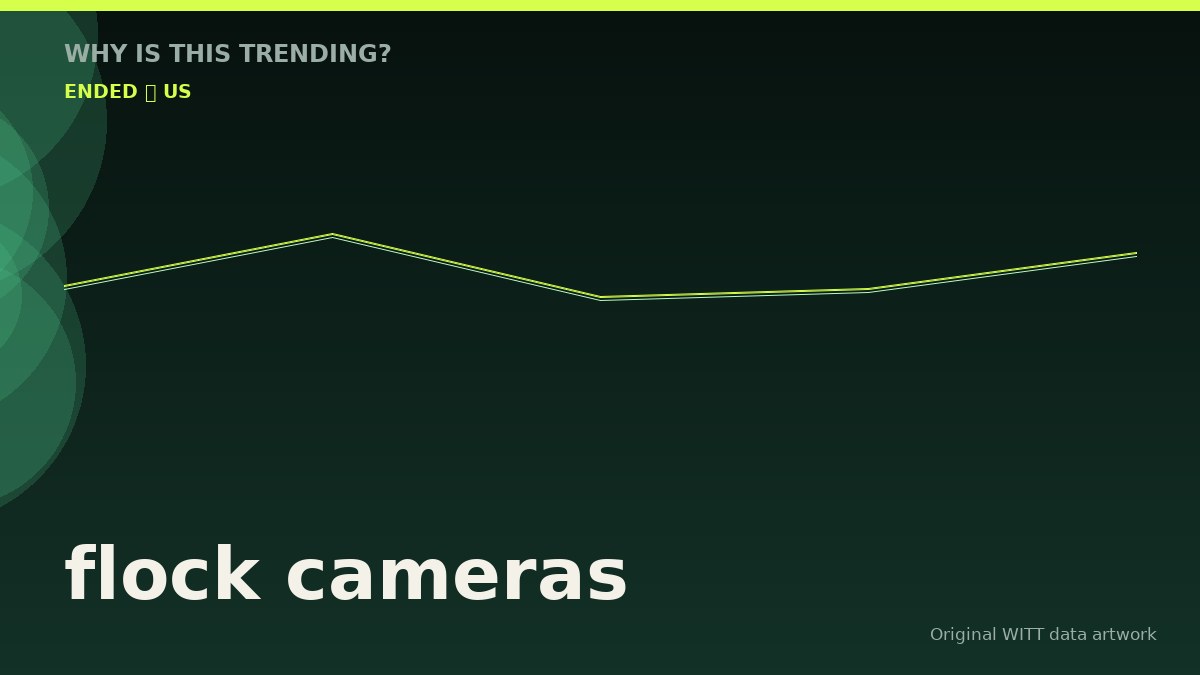 flock cameras original attention timeline illustration
