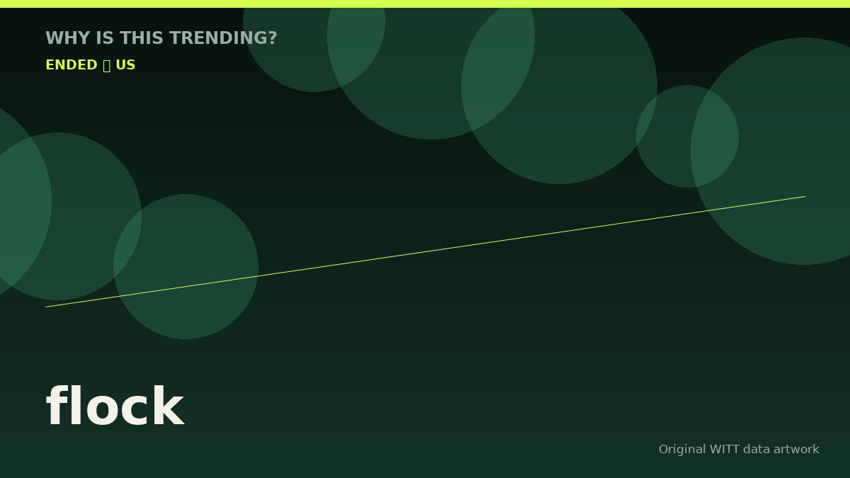 flock original attention timeline illustration