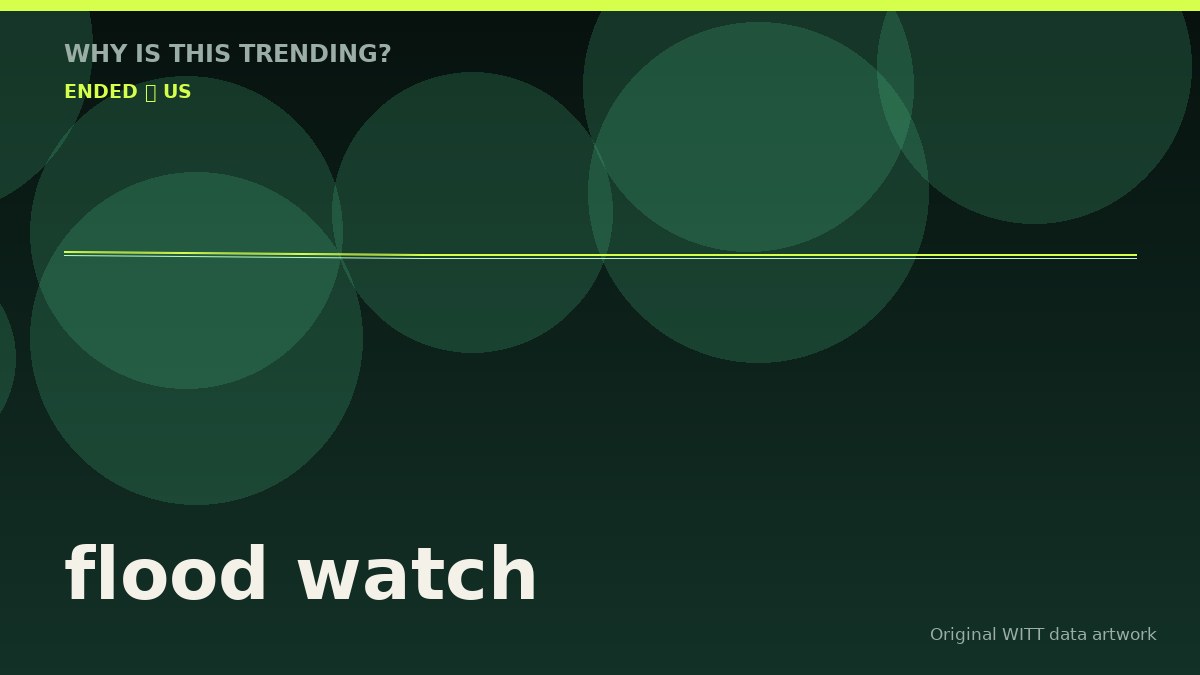 flood watch original attention timeline illustration