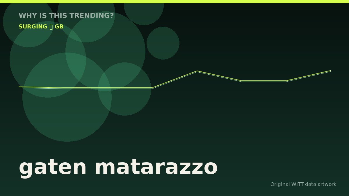 gaten matarazzo original attention timeline illustration