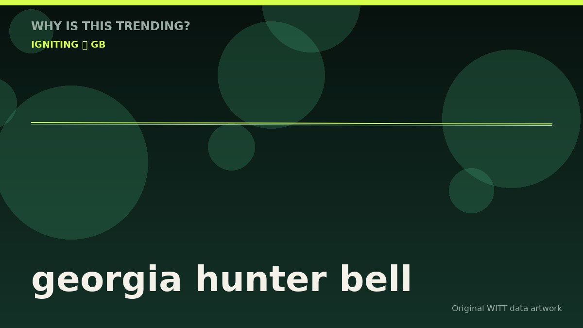 georgia hunter bell original attention timeline illustration