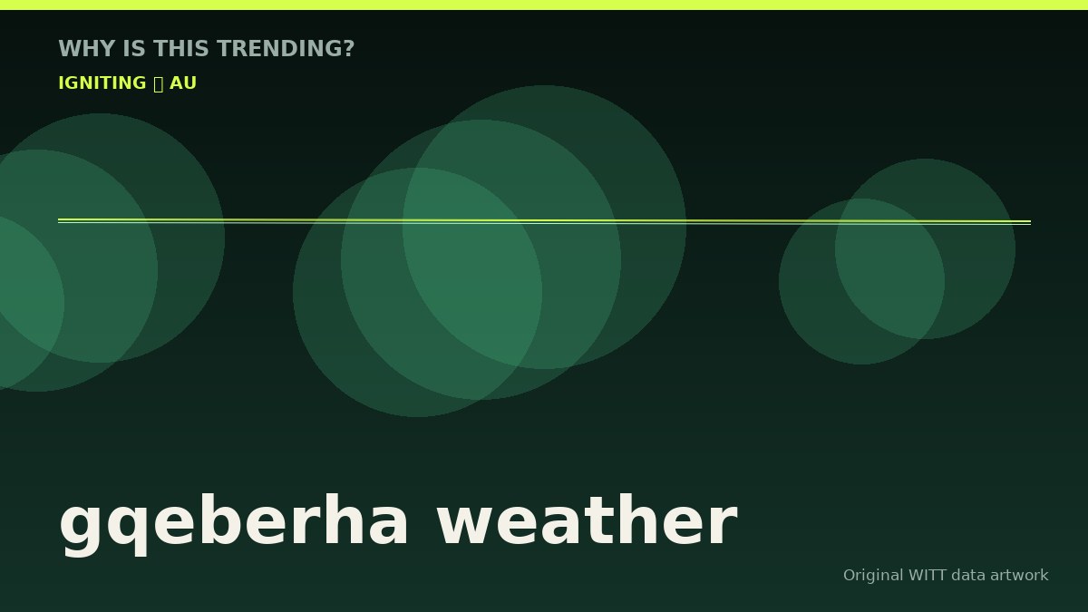 gqeberha weather original attention timeline illustration