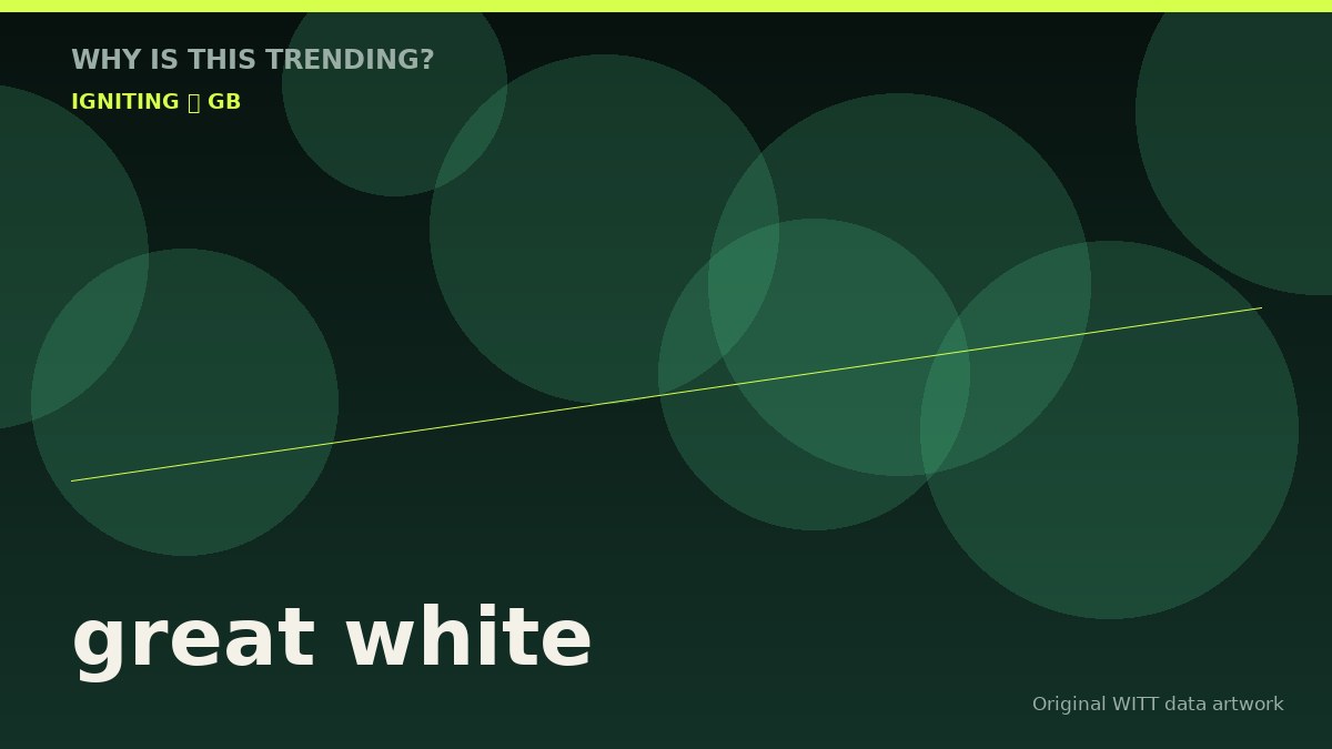 great white original attention timeline illustration