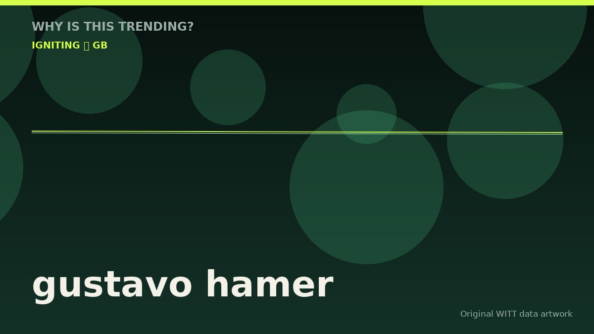 gustavo hamer original attention timeline illustration