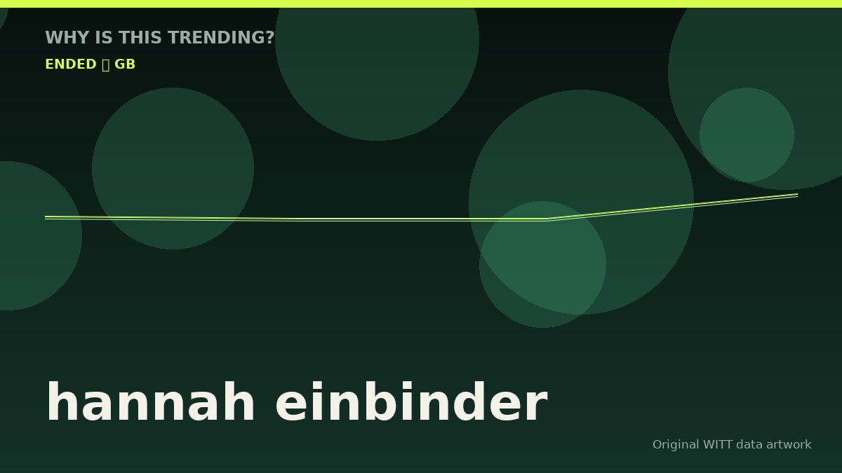 hannah einbinder original attention timeline illustration