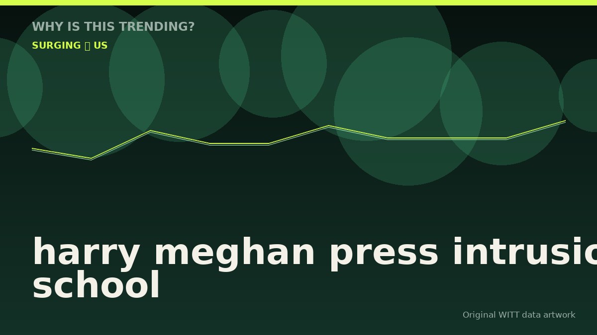 harry meghan press intrusion school original attention timeline illustration