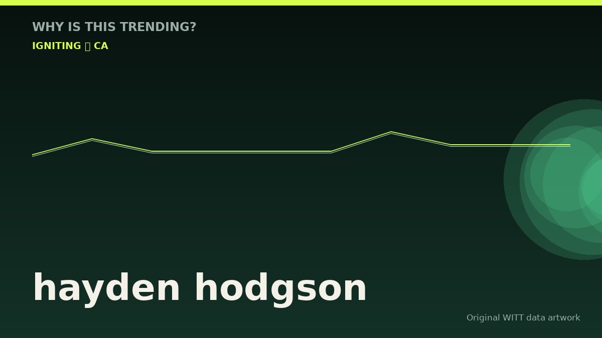 hayden hodgson original attention timeline illustration