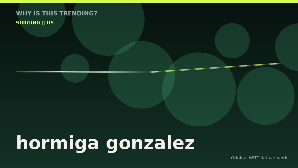 hormiga gonzalez original attention timeline illustration