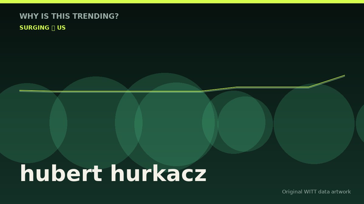 hubert hurkacz original attention timeline illustration