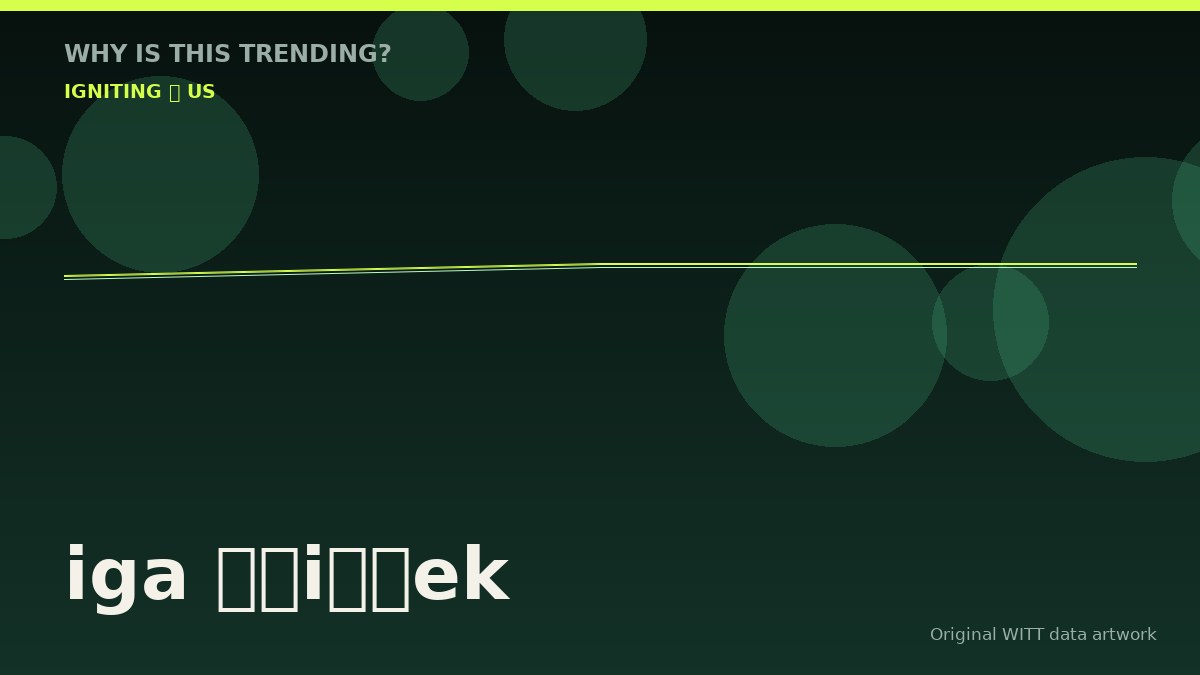 iga świątek original attention timeline illustration