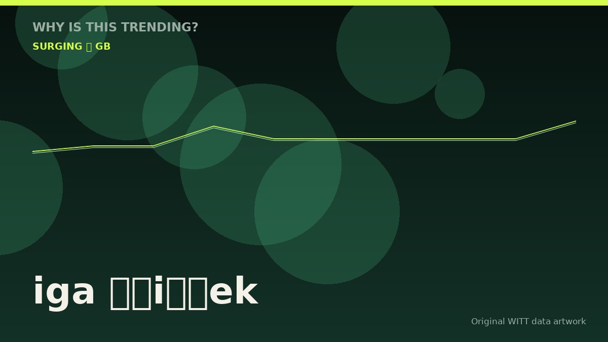 iga świątek original attention timeline illustration