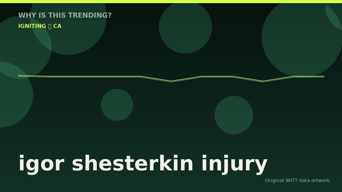 igor shesterkin injury original attention timeline illustration