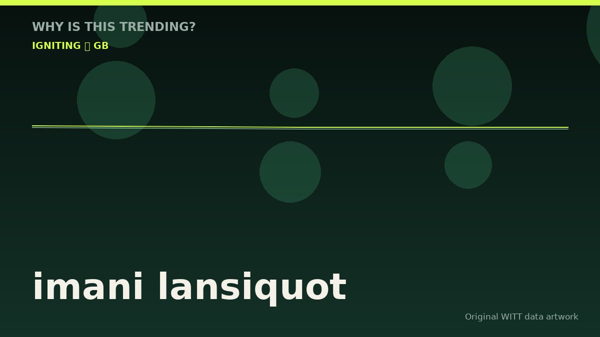 imani lansiquot original attention timeline illustration