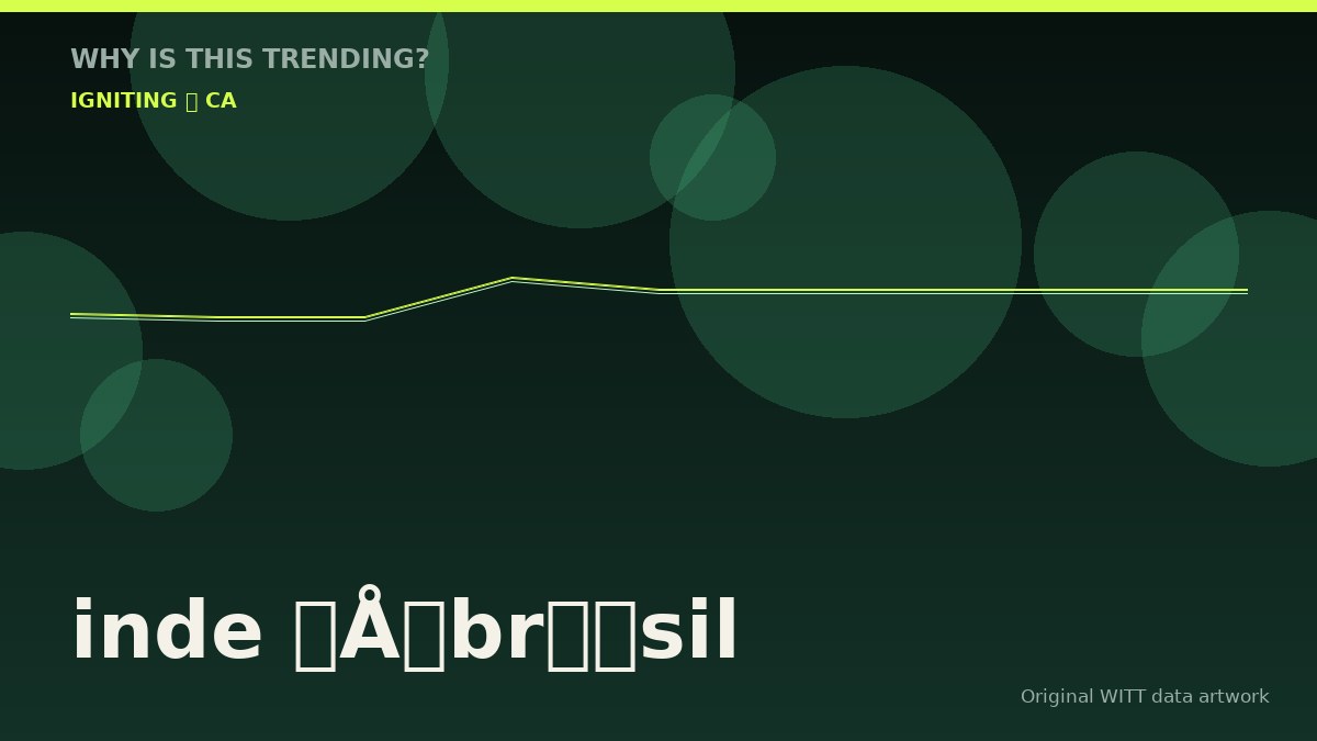 inde – brésil original attention timeline illustration