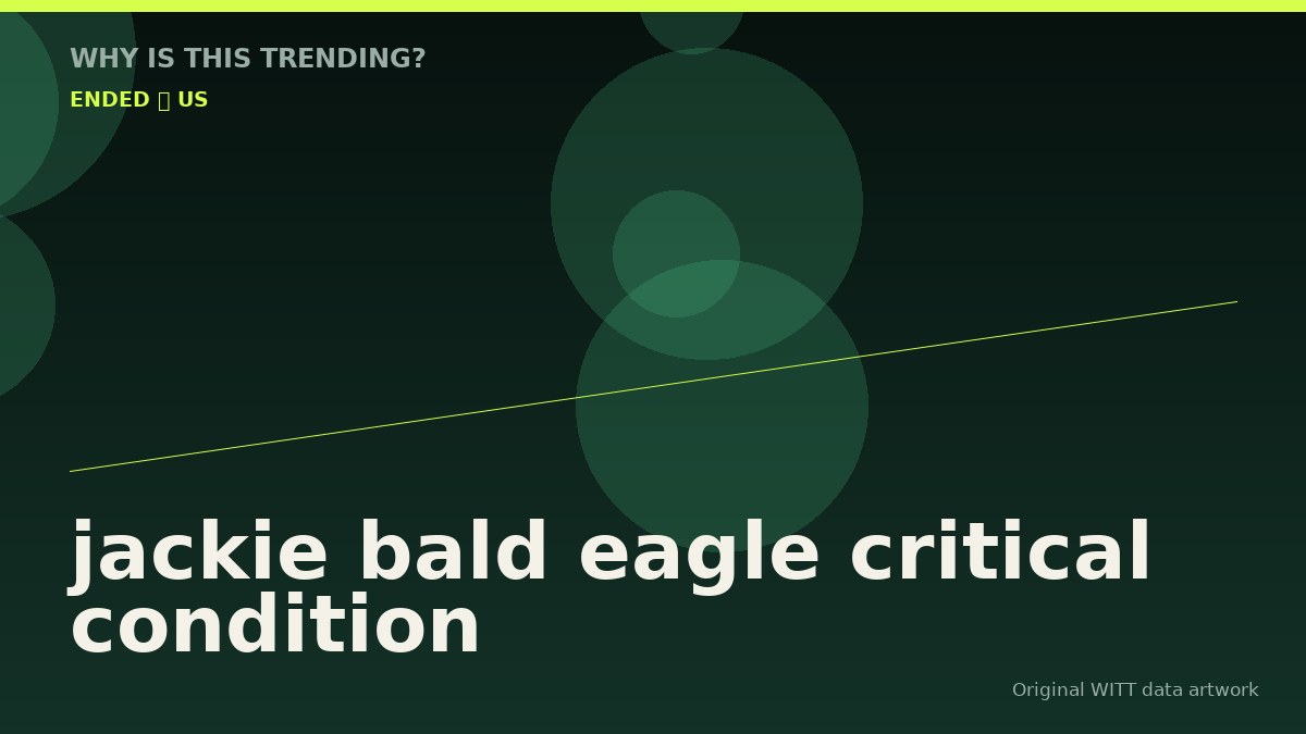 jackie bald eagle critical condition original attention timeline illustration