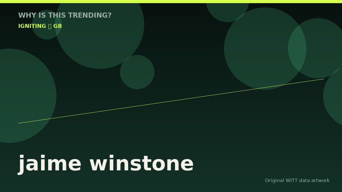 jaime winstone original attention timeline illustration