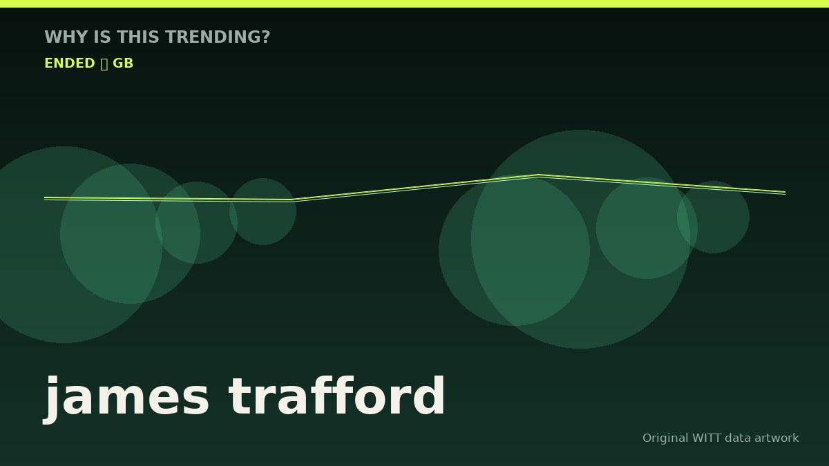james trafford original attention timeline illustration