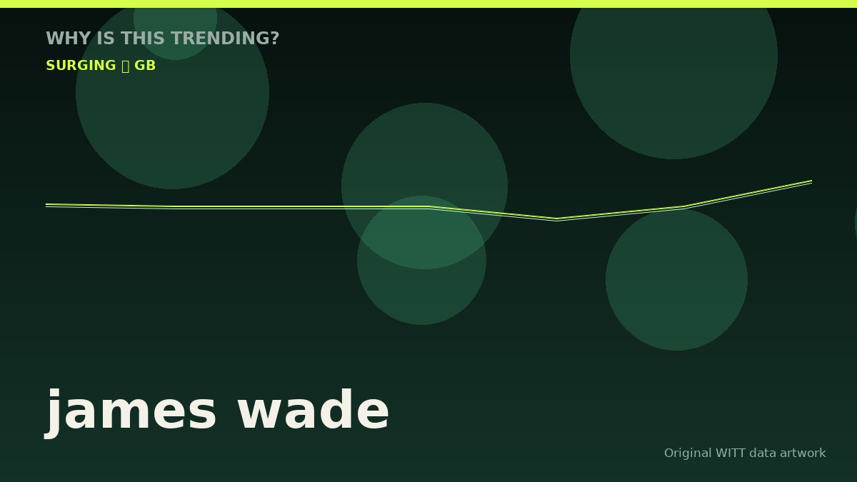 james wade original attention timeline illustration