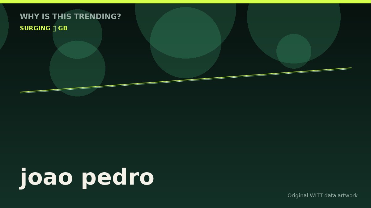 joao pedro original attention timeline illustration