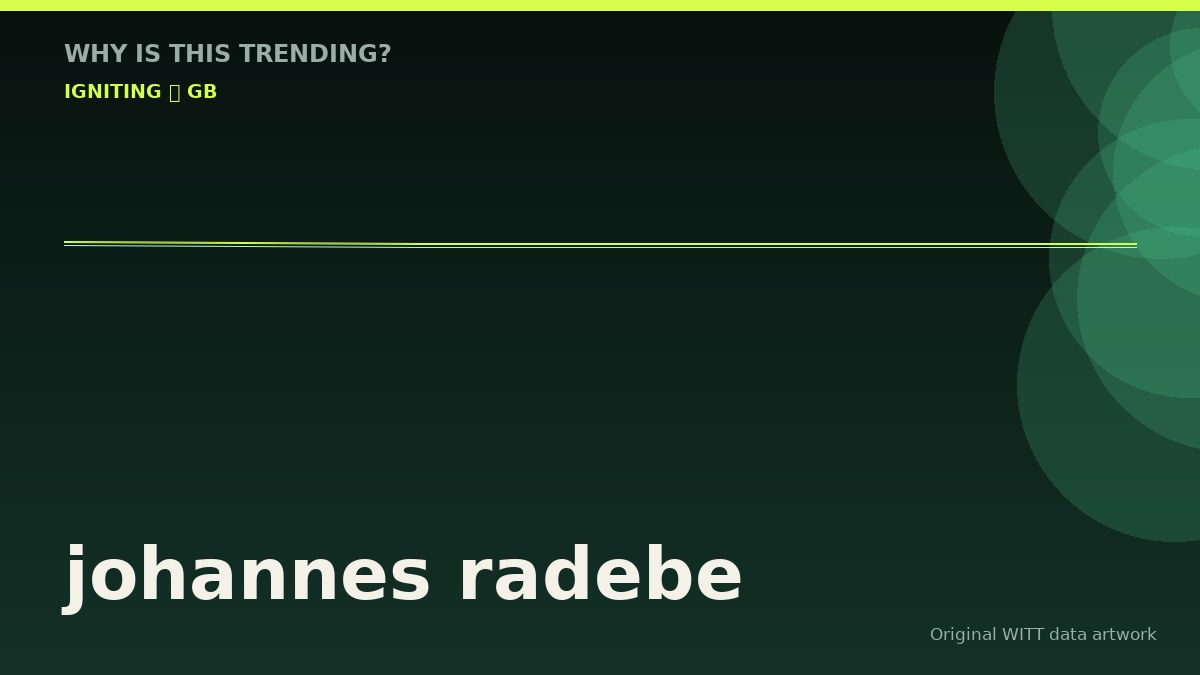 johannes radebe original attention timeline illustration