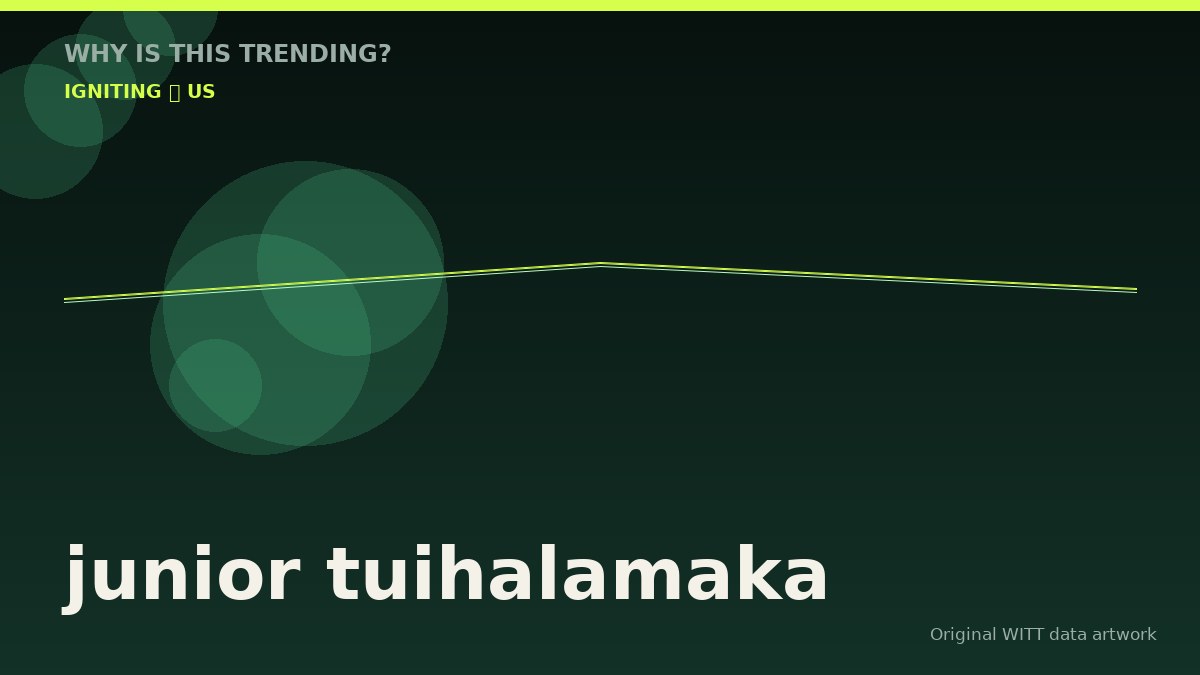 junior tuihalamaka original attention timeline illustration