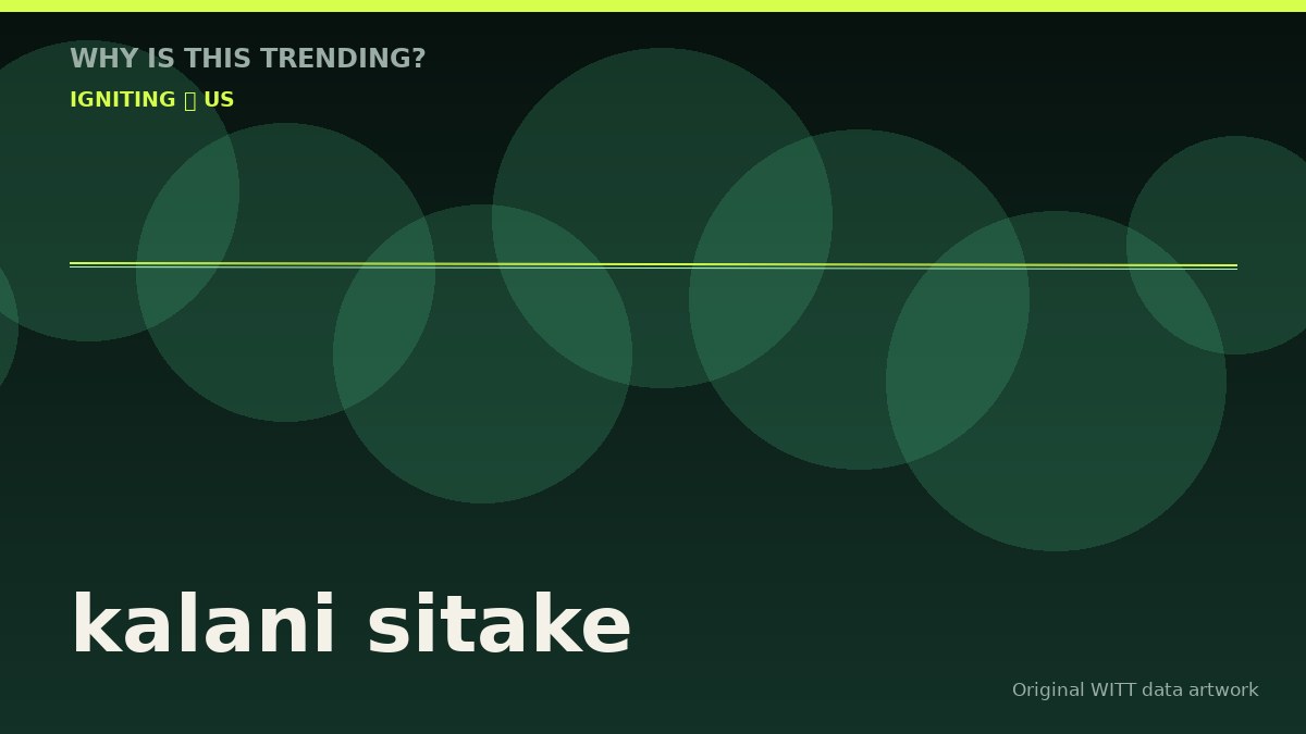 kalani sitake original attention timeline illustration
