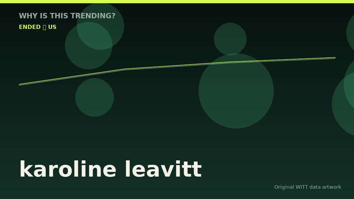 karoline leavitt original attention timeline illustration