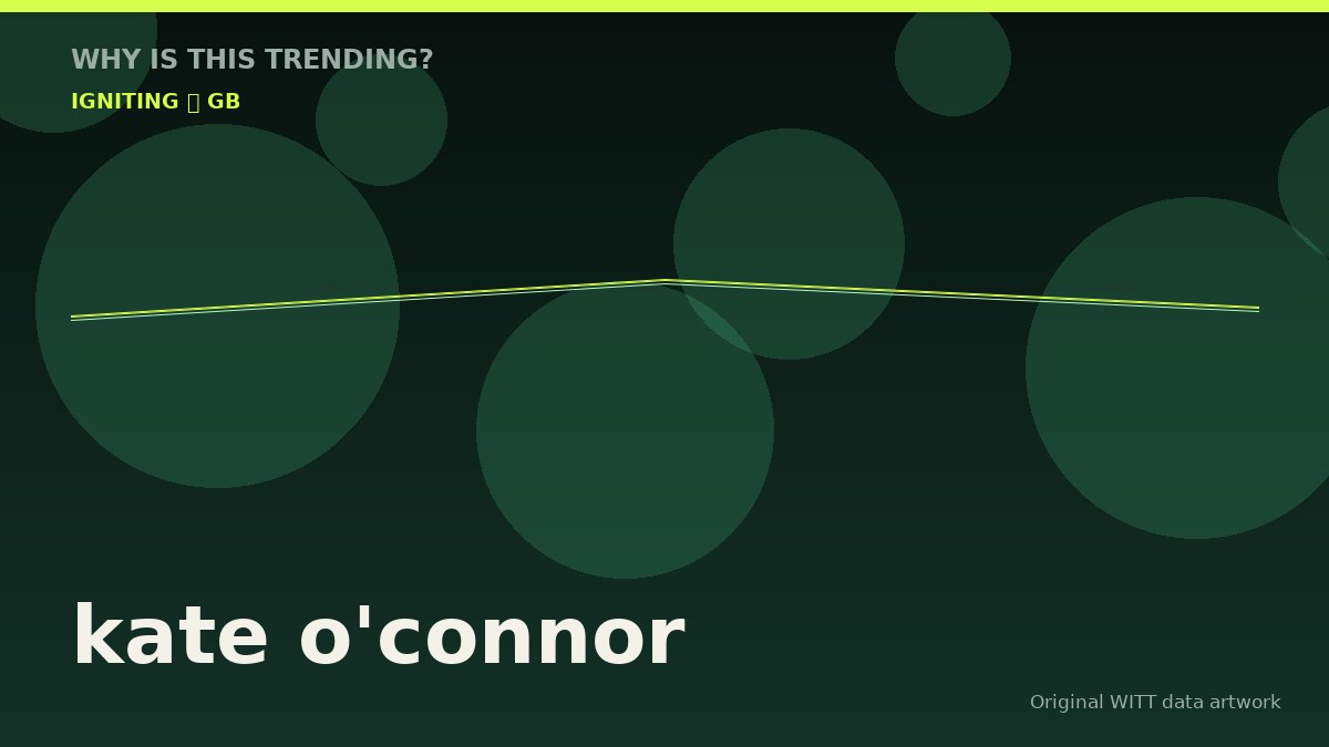 kate o'connor original attention timeline illustration