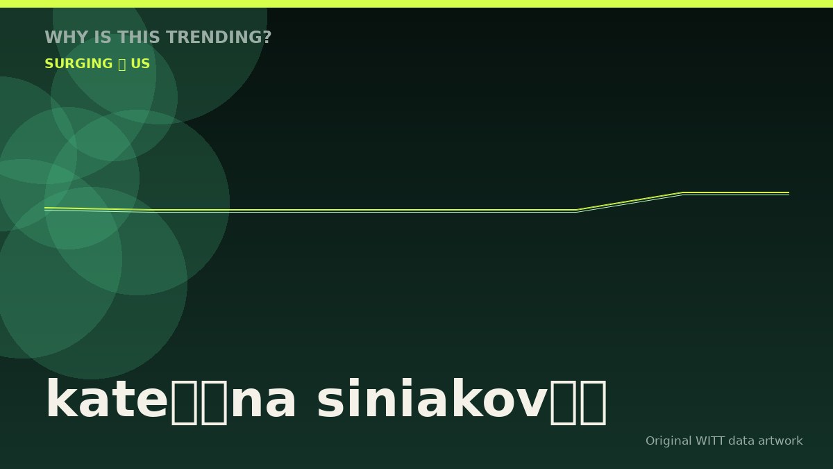 kateřina siniaková original attention timeline illustration
