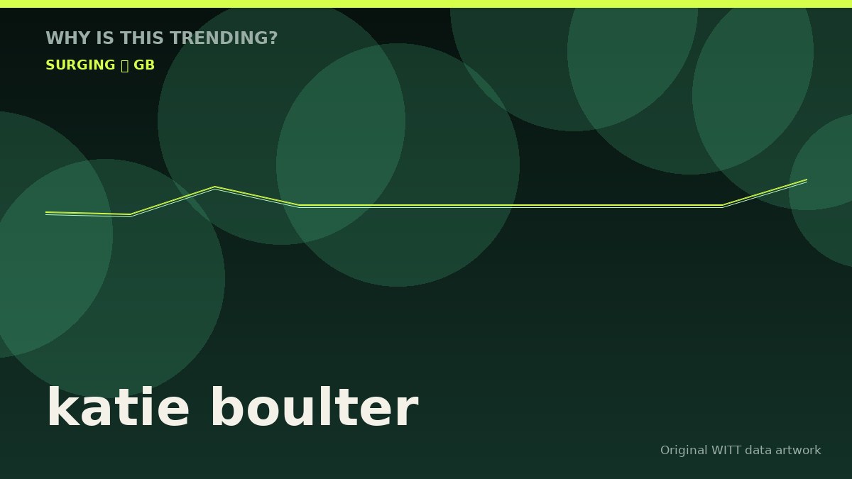 katie boulter original attention timeline illustration