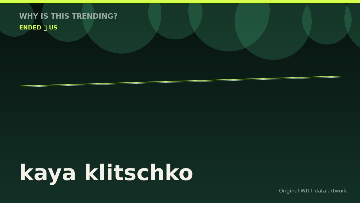 kaya klitschko original attention timeline illustration