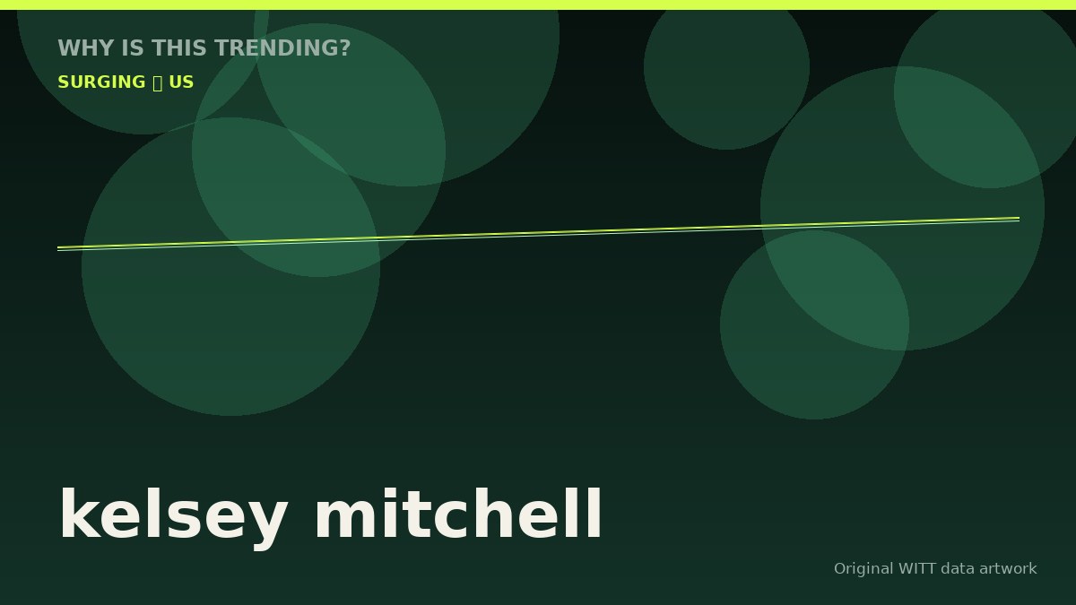 kelsey mitchell original attention timeline illustration