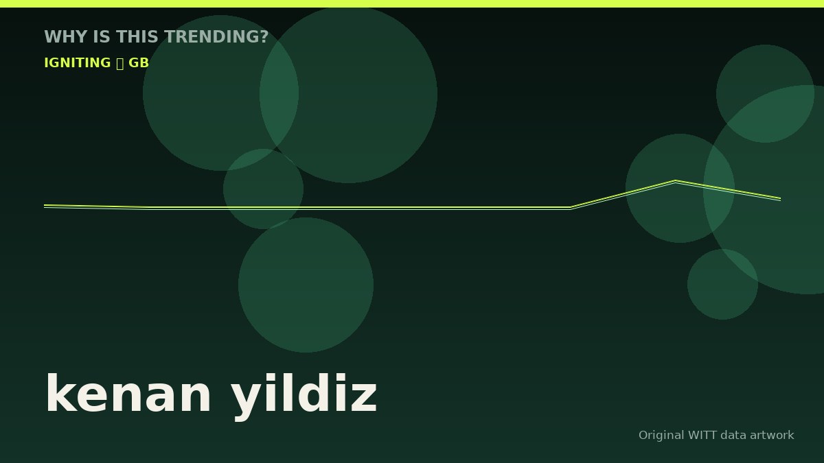 kenan yildiz original attention timeline illustration