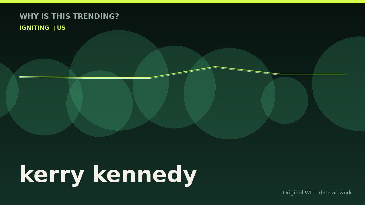 kerry kennedy original attention timeline illustration