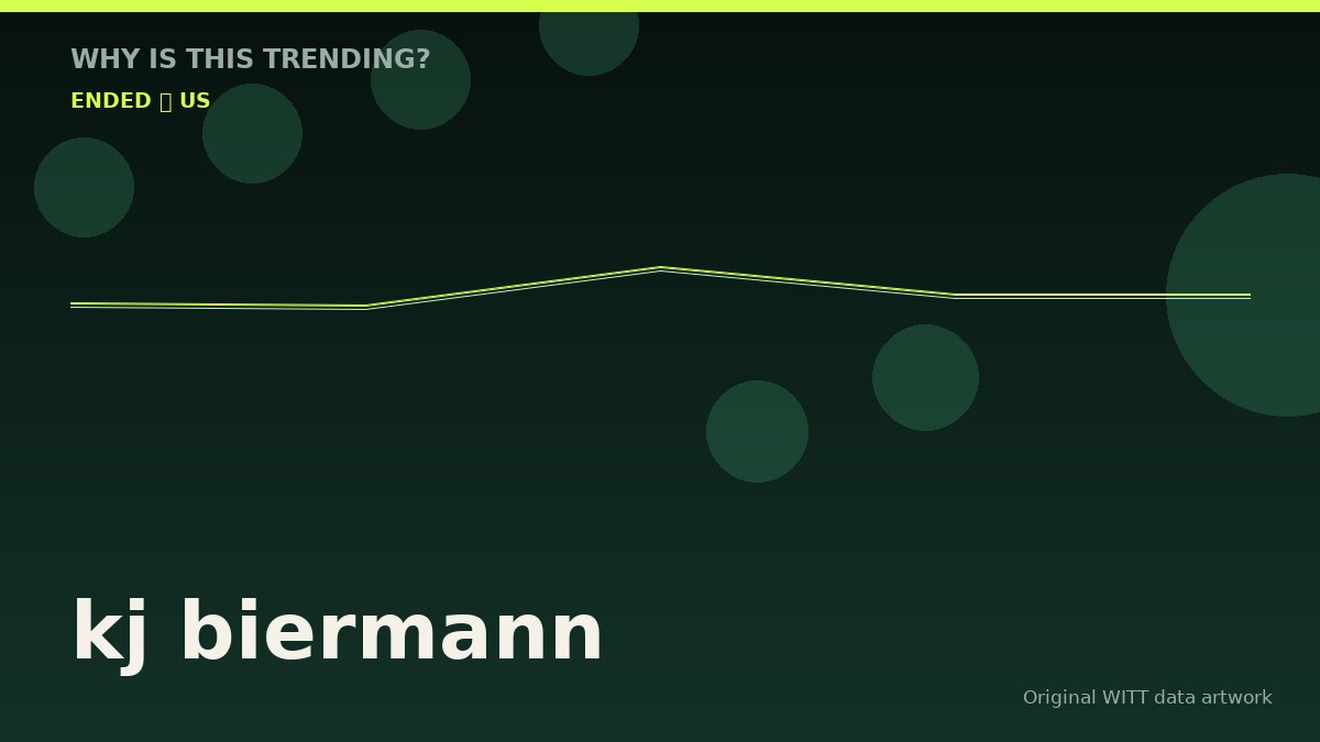 kj biermann original attention timeline illustration