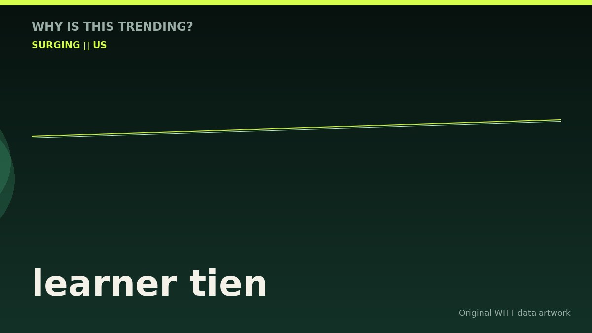learner tien original attention timeline illustration