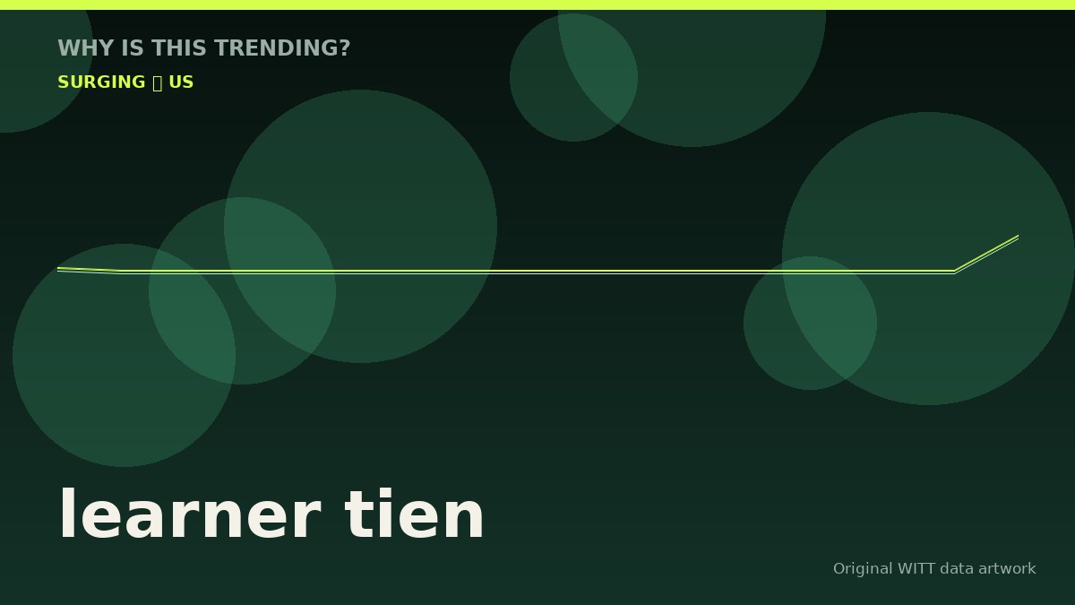 learner tien original attention timeline illustration