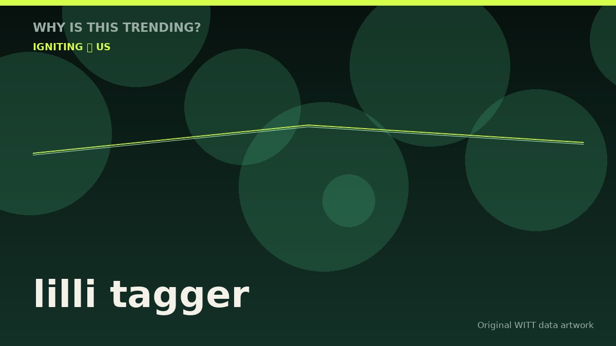 lilli tagger original attention timeline illustration