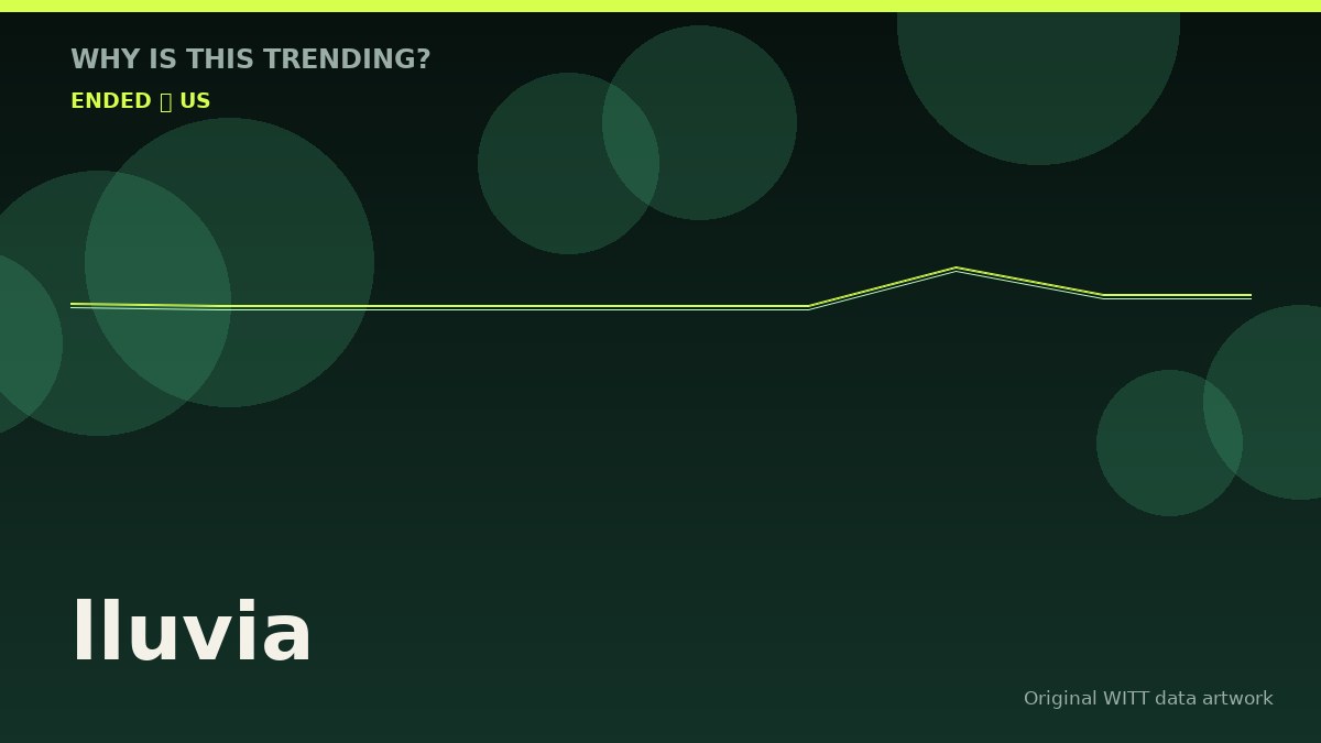 lluvia original attention timeline illustration