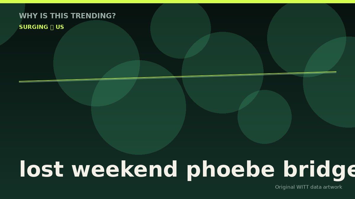 lost weekend phoebe bridgers original attention timeline illustration